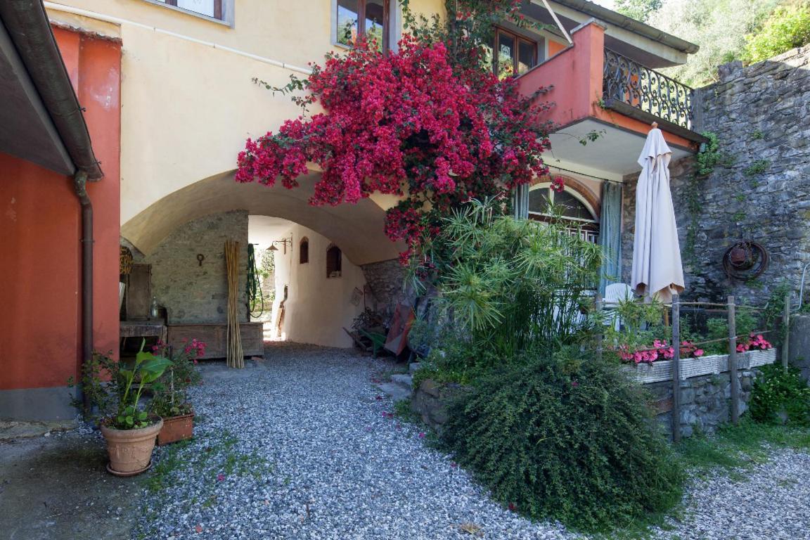 Il Borgo Della Colomba Villa Fosdinovo Luaran gambar