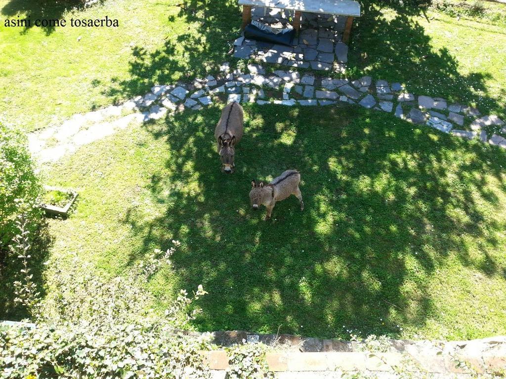 Il Borgo Della Colomba Villa Fosdinovo Luaran gambar