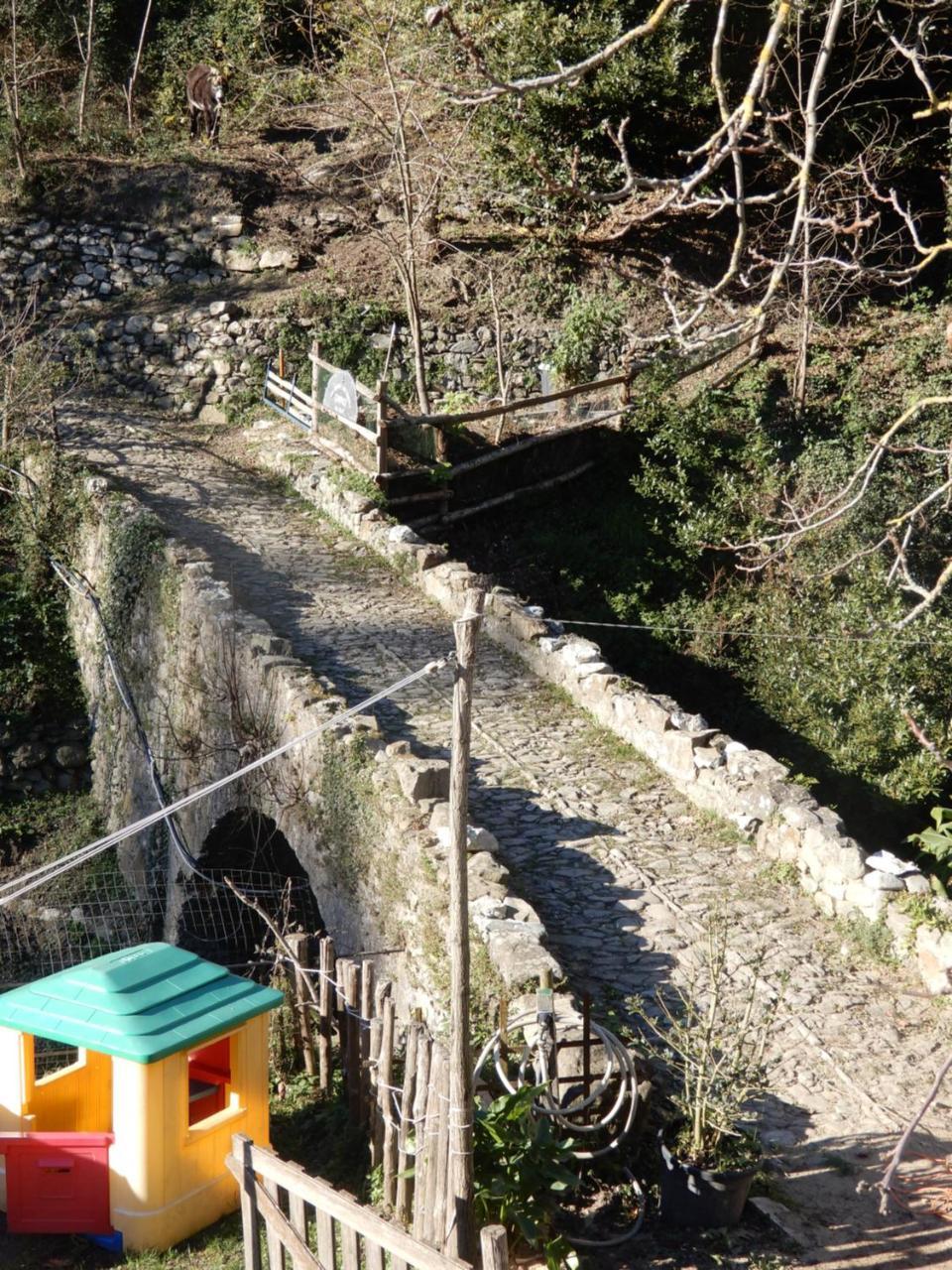 Il Borgo Della Colomba Villa Fosdinovo Luaran gambar